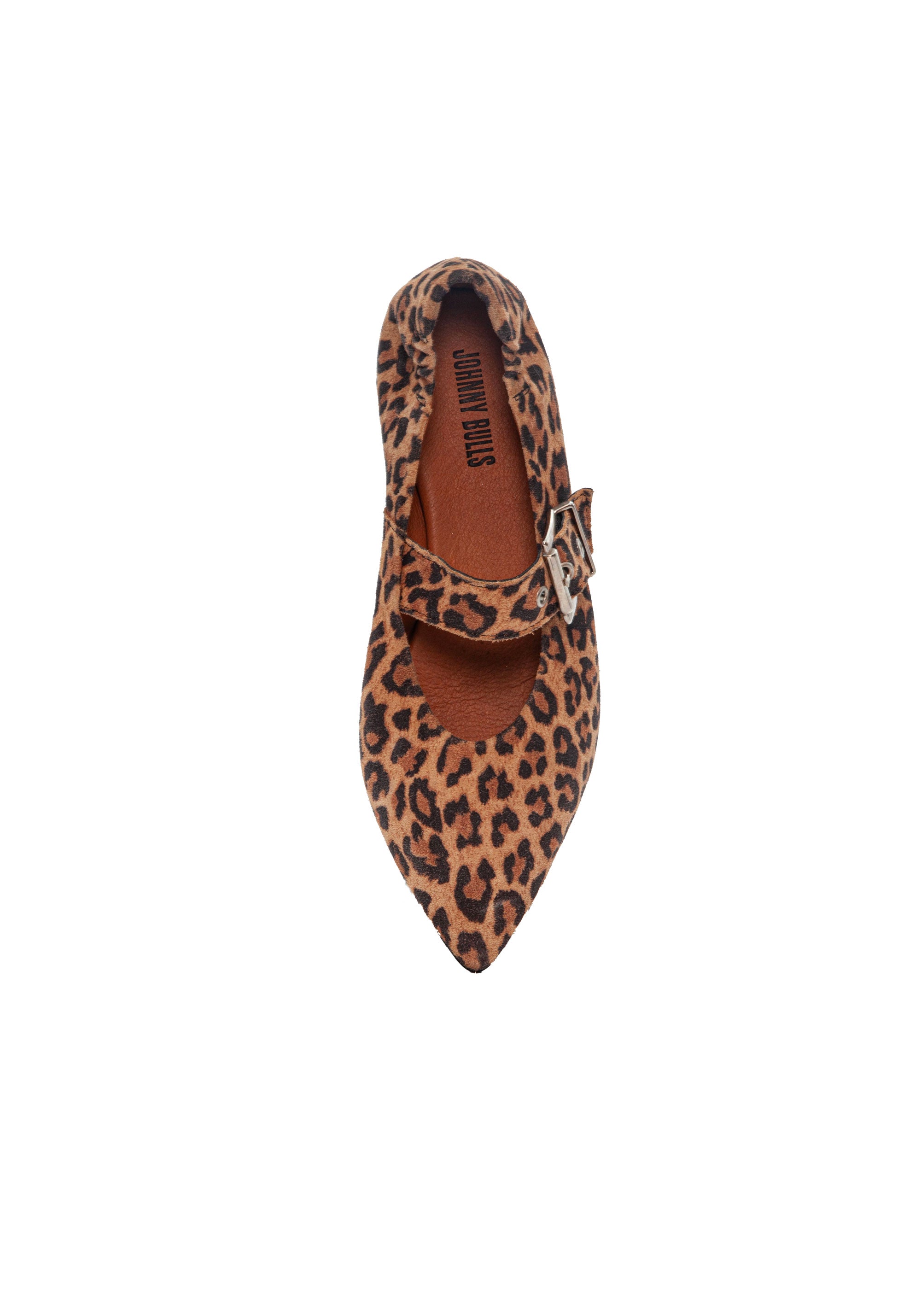 JB_0824426_brownmulti_2.jpg